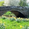 The little bridge at Sinnington