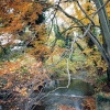 Hartforth Beck