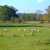 Castle grounds
