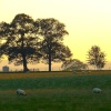 Brougham castle grounds