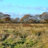View across to the old railway line