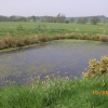 Stockwith Mill