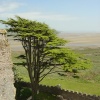 View from Laugharne Castle, Camarthenshire.