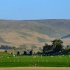 Scene near Crawford