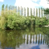 Brandon Marsh