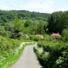 Country Lane on Longleat Estate