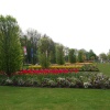 Flowerbeds