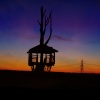 Tree House in Jeskyns Park Gravesend