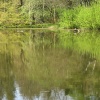 The Boat Lake, Wallington Hall, Northumberland.