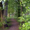 Staindrop Road