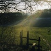 A Wintry Day Near Cobham, Kent.