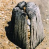 Natural Sculpture on Winchelsea Beach