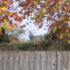 Union Jack thru the Fall Foliage