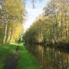 Trent & Mersey Canal near Fradley