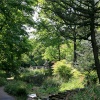 The Dene, Saltwell Park, Gateshead