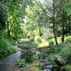 The Dene, Saltwell Park, Gateshead