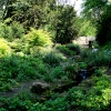 The Dene, Saltwell Park, Gateshead