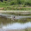 The waders lagoons at Washington Wetlands Centre.