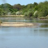 The waders lagoons at Washington Wetlands Centre.