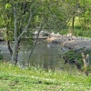 Washington Wetlands Centre.