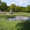 Washington Wetlands Centre.