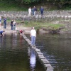 Stepping Stones