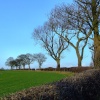 Near Leavening