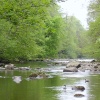 Allen Banks,Northumberland