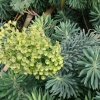 Jubilee Gardens, Ely