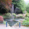 The Park