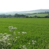 Spring morning view across fields near Chicklade, Wiltshire.