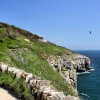 Durlston Country Park, Swanage, Dorset.
