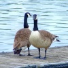 Kings Mill reservoir