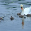 Kings Mill reservoir