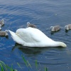 Kings Mill reservoir