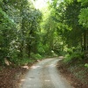 Church Lane, Dalham