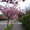 Regent's Park