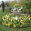 Regent's Park