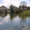 Brown's Pond, off Taunton Road