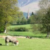 View from near Calf Close Bay towards the town and Skiddaw