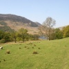 Roadside scene, Crummock Water
