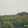 Dam Wall