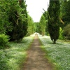The Garden Walk, Wallington Hall.