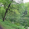 The Lake at Wallington Hall.