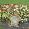 British Legion