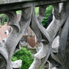 View from the roof of The Lantern