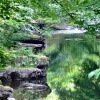The river Kent