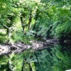 The river Kent