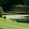 Heron in the grounds of Stoneyhurst College
