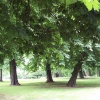 Barham Park